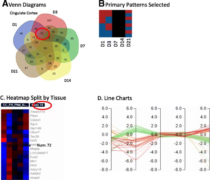 Functional Heatmap: an automated and interactive pattern recognition tool  to integrate time with multi-omics assays | BMC Bioinformatics | Full Text