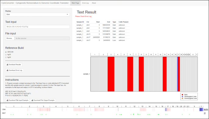 CytoConverter: a web-based tool to convert karyotypes to genomic  coordinates | BMC Bioinformatics | Full Text