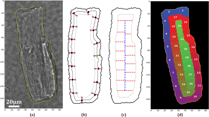 figure 8