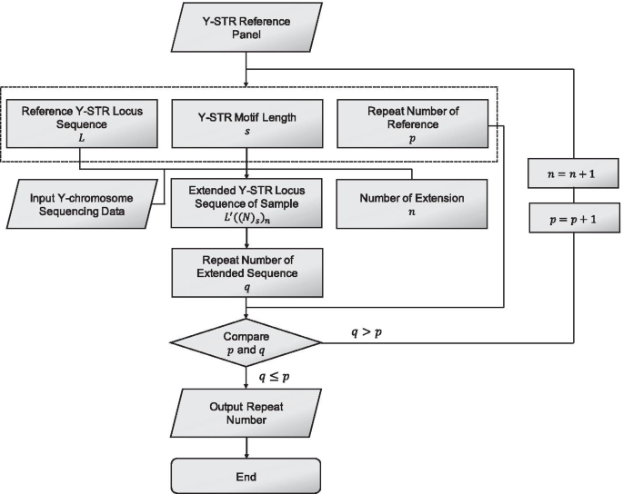 Y Lineagetracker A High Throughput Analysis Framework For Y Chromosomal Next Generation Sequencing Data Bmc Bioinformatics Full Text