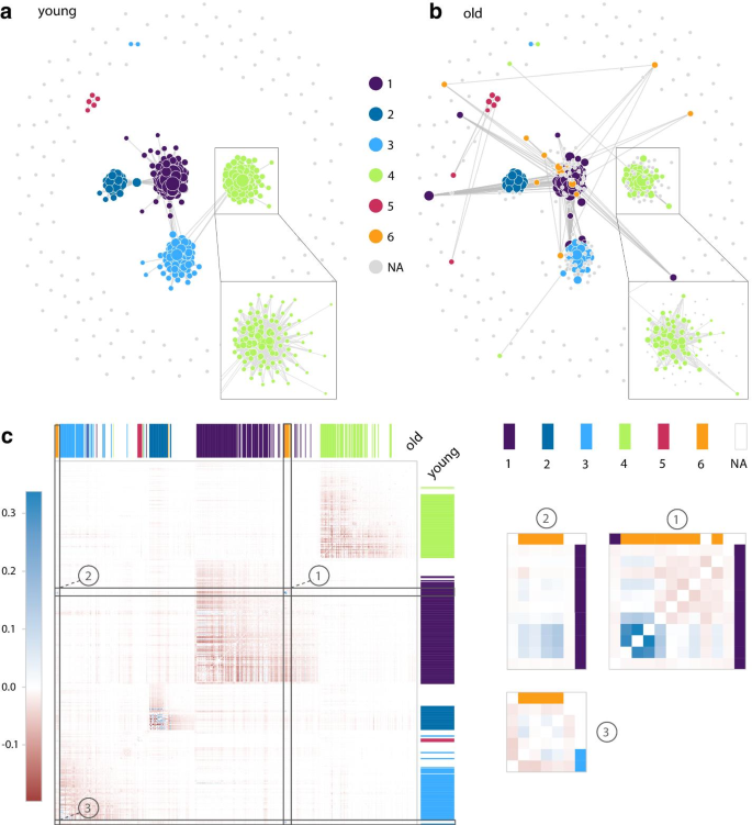 GWENA: gene co-expression networks analysis and extended modules  characterization in a single Bioconductor package, BMC Bioinformatics