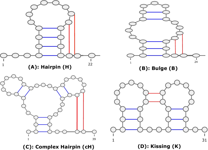 aRNAque: an evolutionary algorithm for inverse pseudoknotted RNA folding  inspired by Lévy flights | BMC Bioinformatics | Full Text