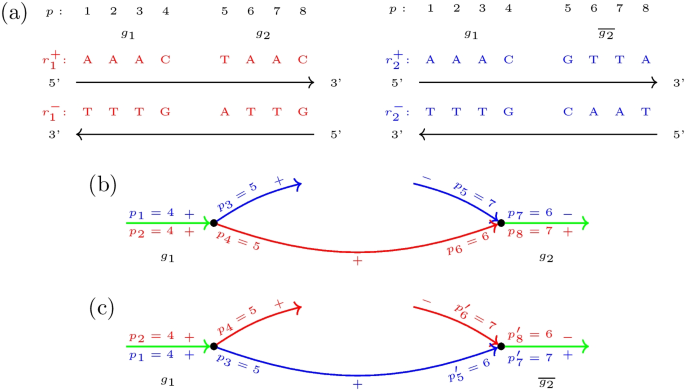 figure 8