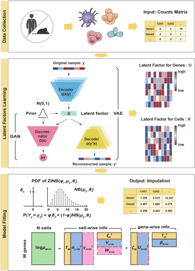 Denoising single-cell RNA-seq data with a deep learning-embedded ...