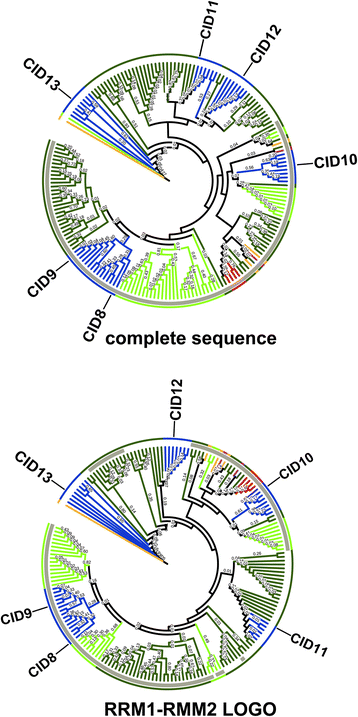 figure 9