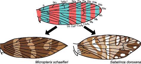 figure 15