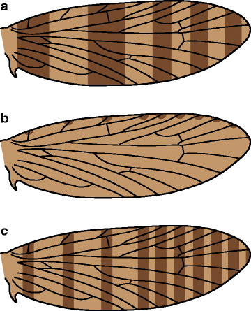 figure 18