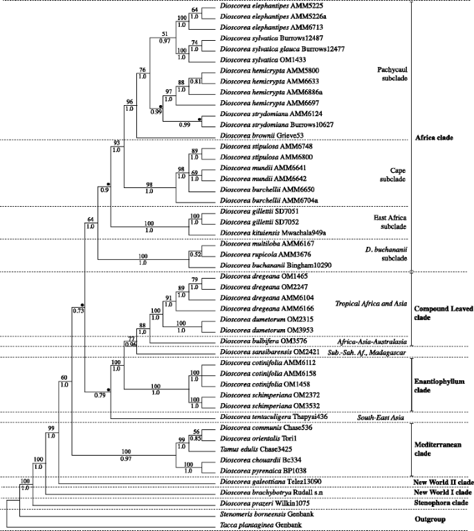 Diversification Into Novel Habitats In The Africa Clade Of