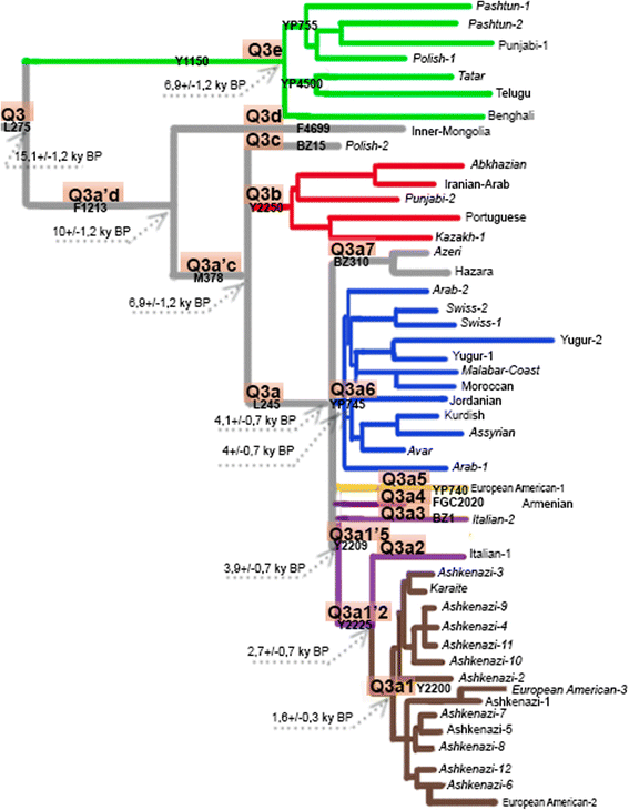 Chromosome haplogroup y Y Chromosome