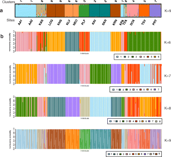 Microevolution of the noble crayfish (Astacus astacus) in the Southern  Balkan Peninsula | BMC Ecology and Evolution | Full Text