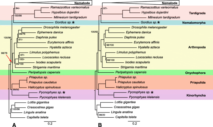 nematode phd thesis pdf figure 3