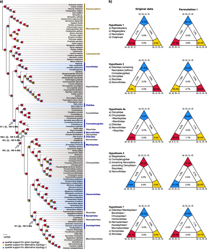 Phylogeny of Higher Taxa in Insecta: Finding Synapomorphies in the Extant  Fauna and Separating Them from Homoplasies