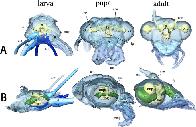 figure 12