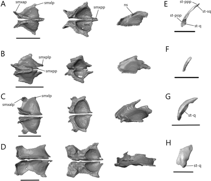 figure 17