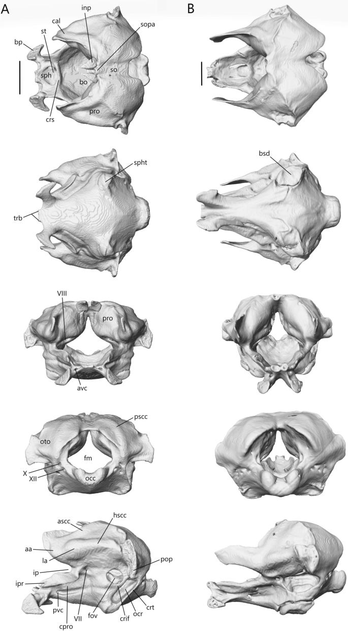 figure 27