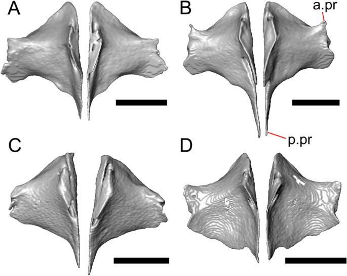 figure 21