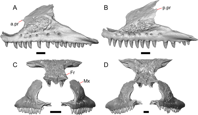 figure 22