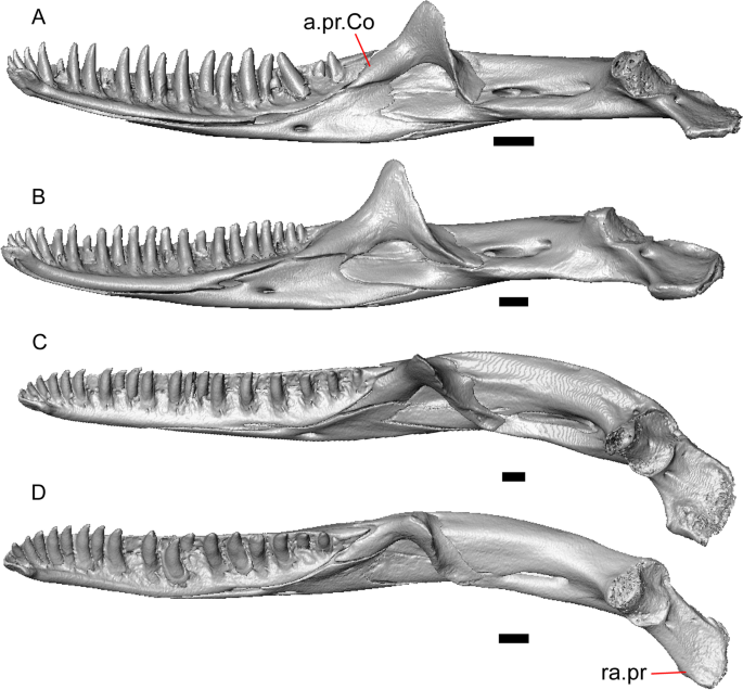 figure 42