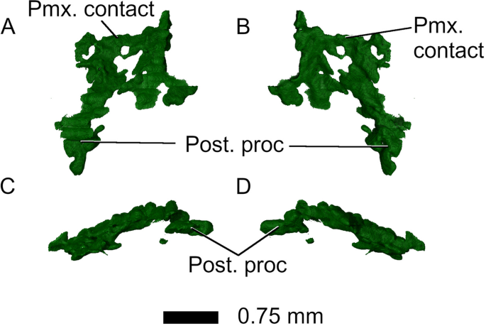 figure 14