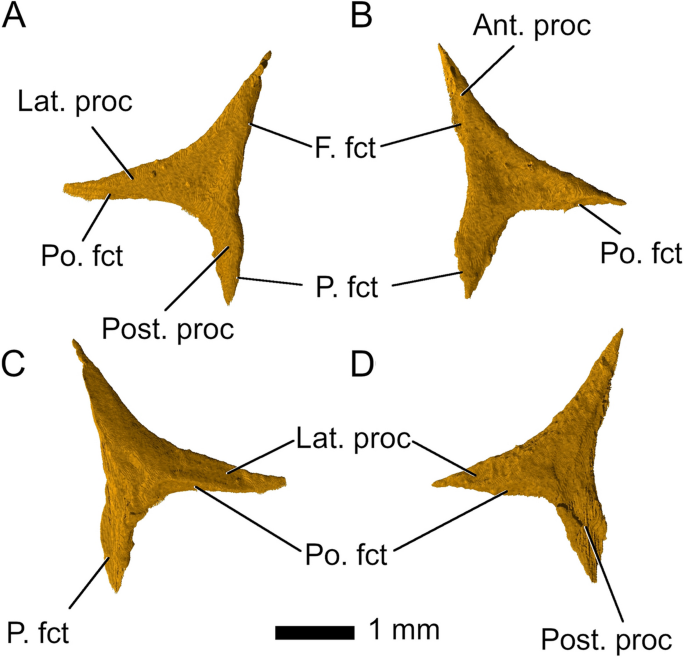 figure 8