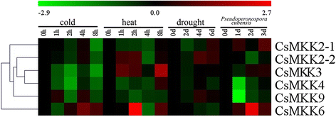 figure 15