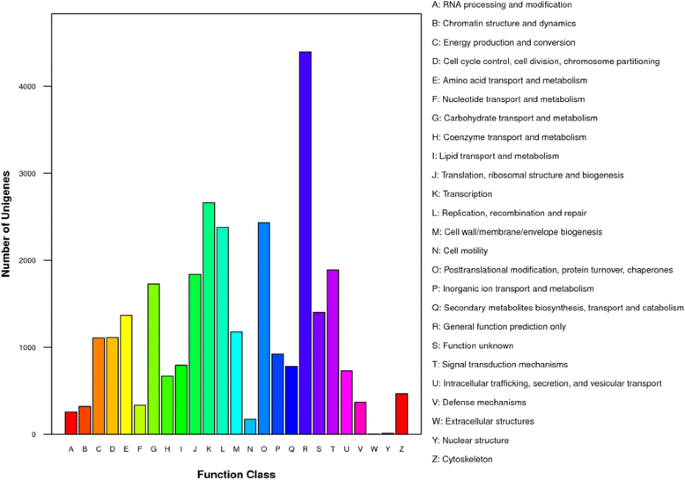 Transcriptome Sequencing And Analysis Of Major Genes Involved In Calcium Signaling Pathways In Pear Plants Pyrus Calleryana Decne Bmc Genomics Full Text