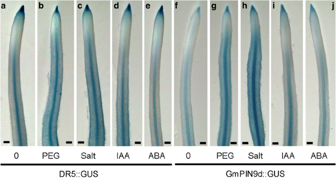 figure 9