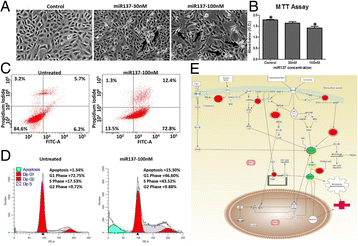 figure 29