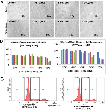 figure 31