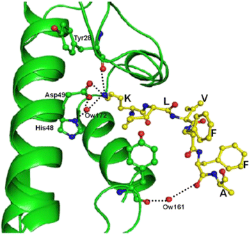 figure 41