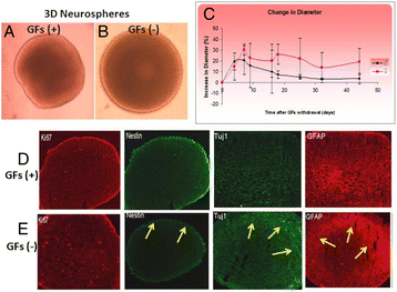 figure 42