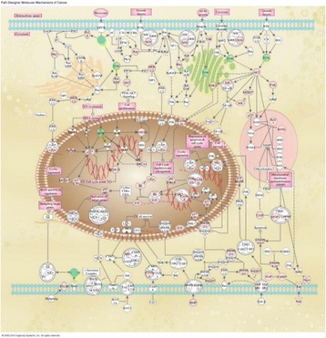 figure 50