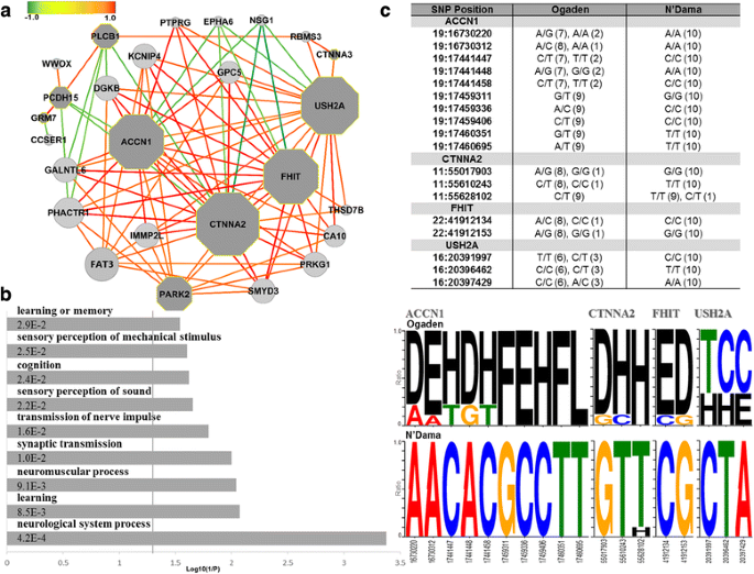Cattle Genome Wide Analysis Reveals Genetic Signatures In Trypanotolerant N Dama Bmc Genomics Full Text
