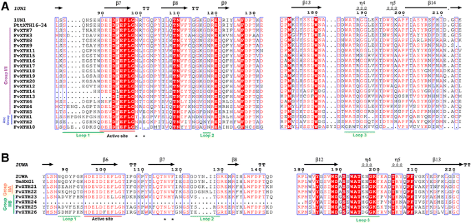 Xths From Fragaria Vesca Genomic Structure And Transcriptomic Analysis In Ripening Fruit And Other Tissues Bmc Genomics Full Text Xths From Fragaria Vesca Genomic Structure And Transcriptomic Analysis In Ripening Fruit And Other Tissues Bmc Genomics Full Text