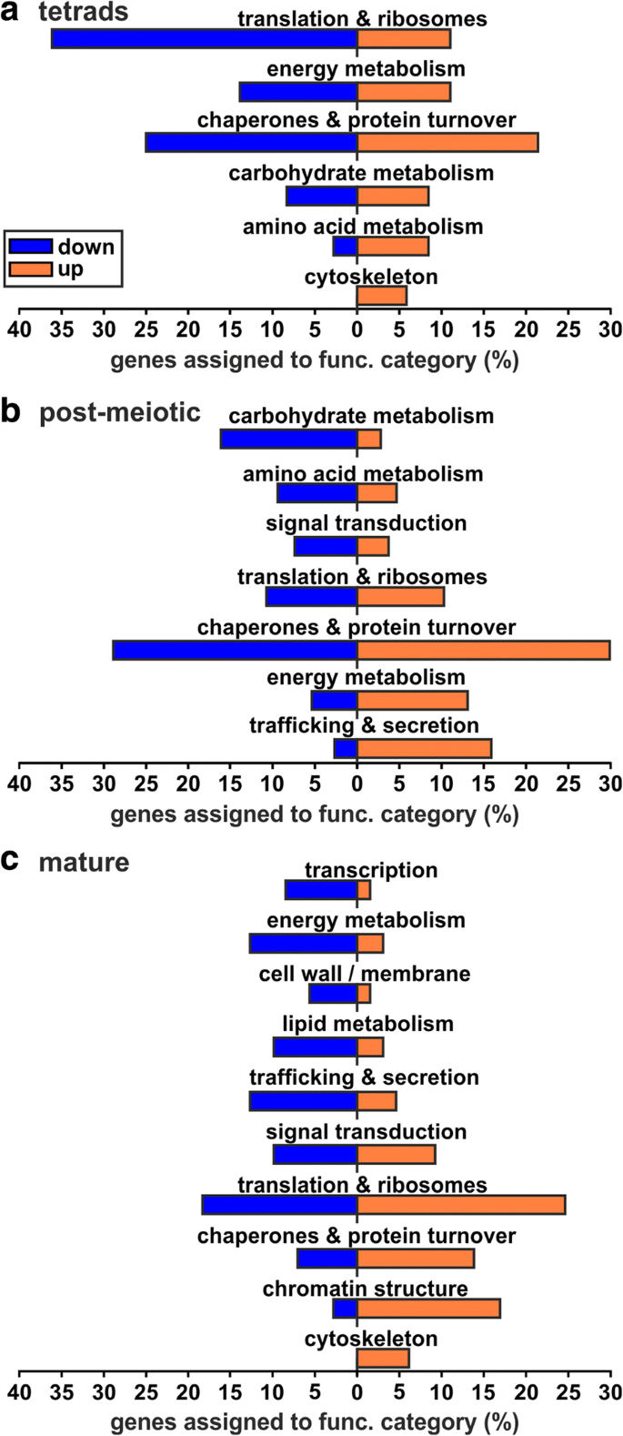 Mature Category Tube