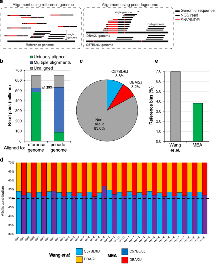 Development And Application Of An Integrated Allele Specific Pipeline For Methylomic And Epigenomic Analysis Mea Bmc Genomics Full Text
