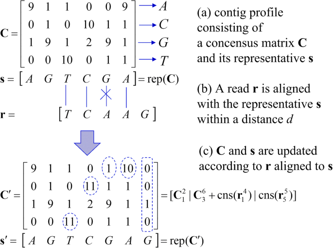 Trareco A Greedy Approach Based De Novo Transcriptome Assembler With Read Error Correction Using Consensus Matrix Bmc Genomics Full Text