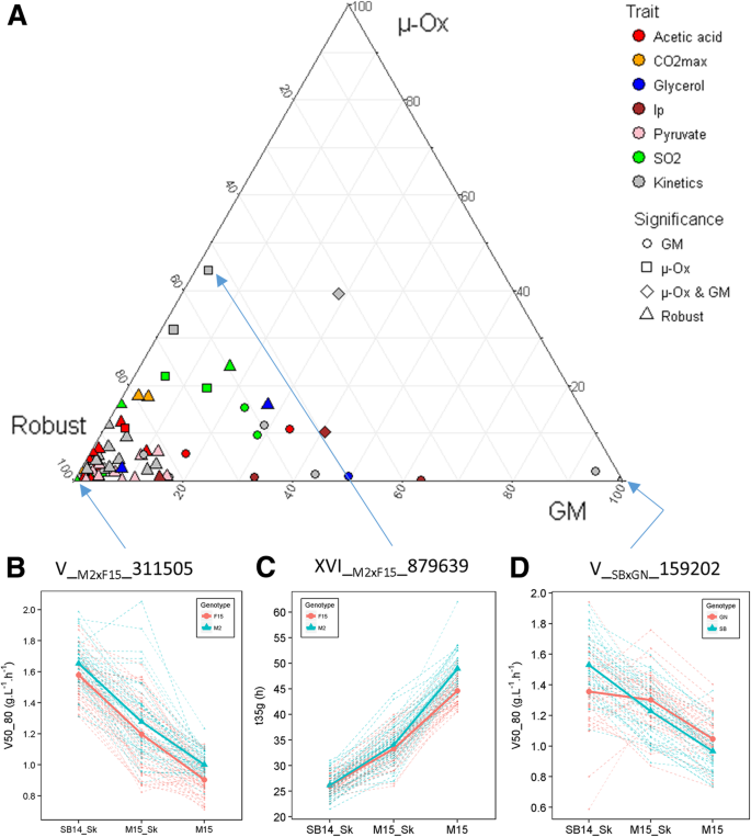 Dissection Of The Molecular Bases Of Genotype X Environment Interactions A Study Of Phenotypic Plasticity Of Saccharomyces Cerevisiae In Grape Juices Bmc Genomics Full Text