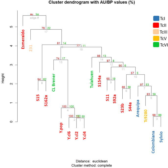 Frontiers  Trypanosoma cruzi Genomic Variability: Array