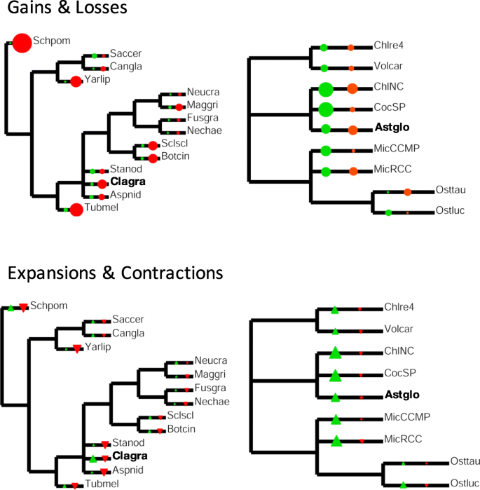 figure 14