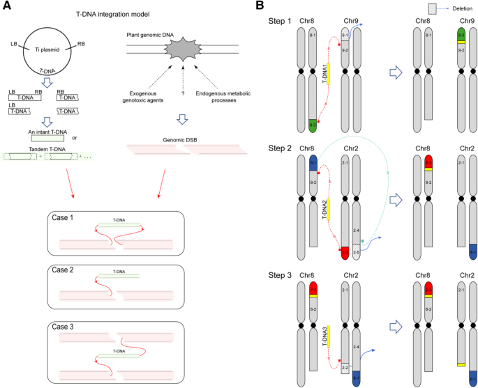 bmc genomics biomed central