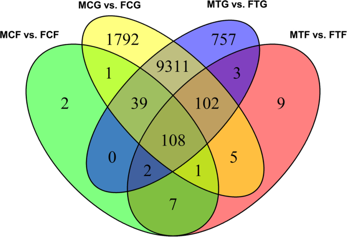 A diagram that shows overlapping food chains
