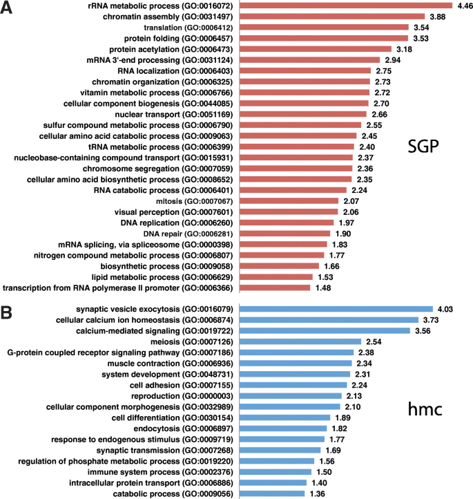 Concesión Grave preocupación mRNA profiling reveals significant transcriptional differences between a multipotent progenitor and its differentiated sister | BMC Genomics | Full Text Concesión Grave preocupación mRNA profiling reveals significant transcriptional differences between a multipotent progenitor and its differentiated sister | BMC Genomics | Full Text