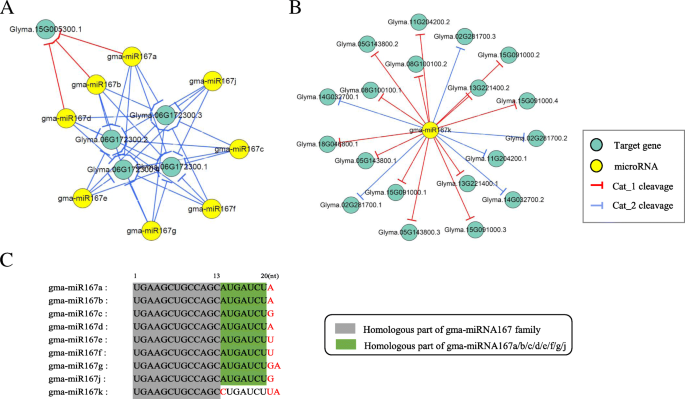 Construction And Analysis Of Degradome Dependent Microrna Regulatory Networks In Soybean Bmc Genomics Full Text