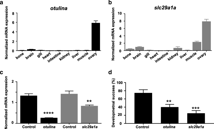 What Makes A Bad Egg Egg Transcriptome Reveals Dysregulation Of Translational Machinery And Novel Fertility Genes Important For Fertilization Bmc Genomics Full Text