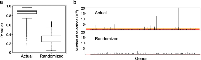 What Makes A Bad Egg Egg Transcriptome Reveals Dysregulation Of Translational Machinery And Novel Fertility Genes Important For Fertilization Bmc Genomics Full Text