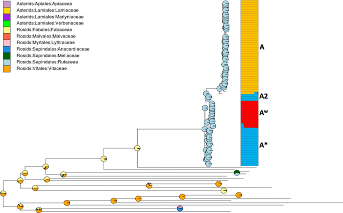 Origin And Diversification Of Xanthomonas Citri Subsp Citri Pathotypes Revealed By Inclusive Phylogenomic Dating And Biogeographic Analyses Bmc Genomics Full Text Origin And Diversification Of Xanthomonas Citri Subsp Citri Pathotypes Revealed By Inclusive Phylogenomic Dating And Biogeographic Analyses Bmc Genomics Full Text