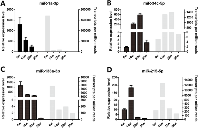 Micrornas And Their Regulatory Networks In Chinese Gushi Chicken Abdominal Adipose Tissue During Postnatal Late Development Bmc Genomics Full Text Micrornas And Their Regulatory Networks In Chinese Gushi Chicken Abdominal Adipose Tissue During Postnatal Late Development Bmc Genomics Full Text