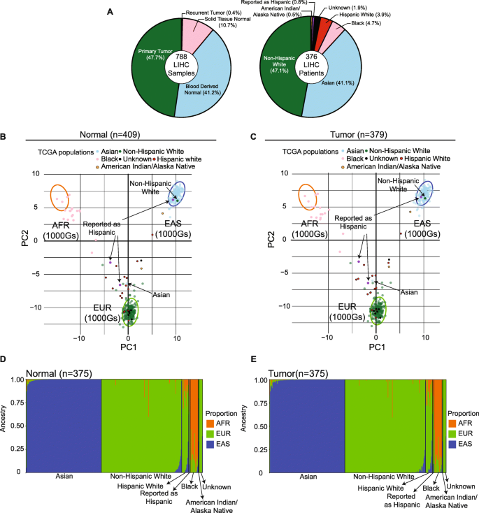 An ancestry informative marker panel design for individual ancestry  estimation of Hispanic population using whole exome sequencing data | BMC  Genomics | Full Text