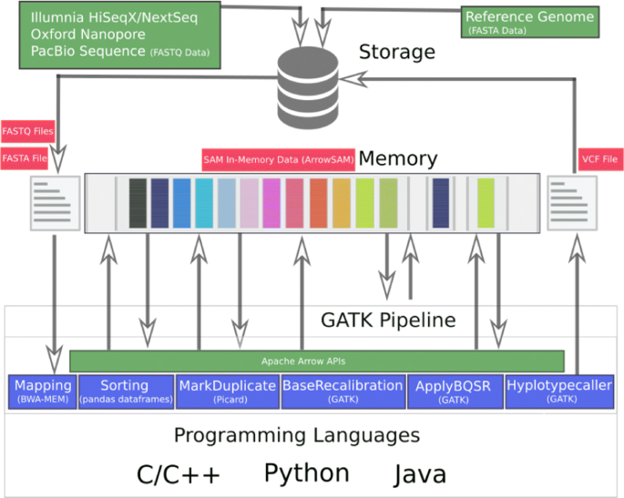 Optimizing performance of GATK workflows using Apache Arrow In-Memory data  framework | BMC Genomics | Full Text